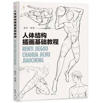 Базовое руководство по структуре человеческого тела Иллюстрированная художественная книга Методы динамической структуры для создания эскизов человеческого тела Libros